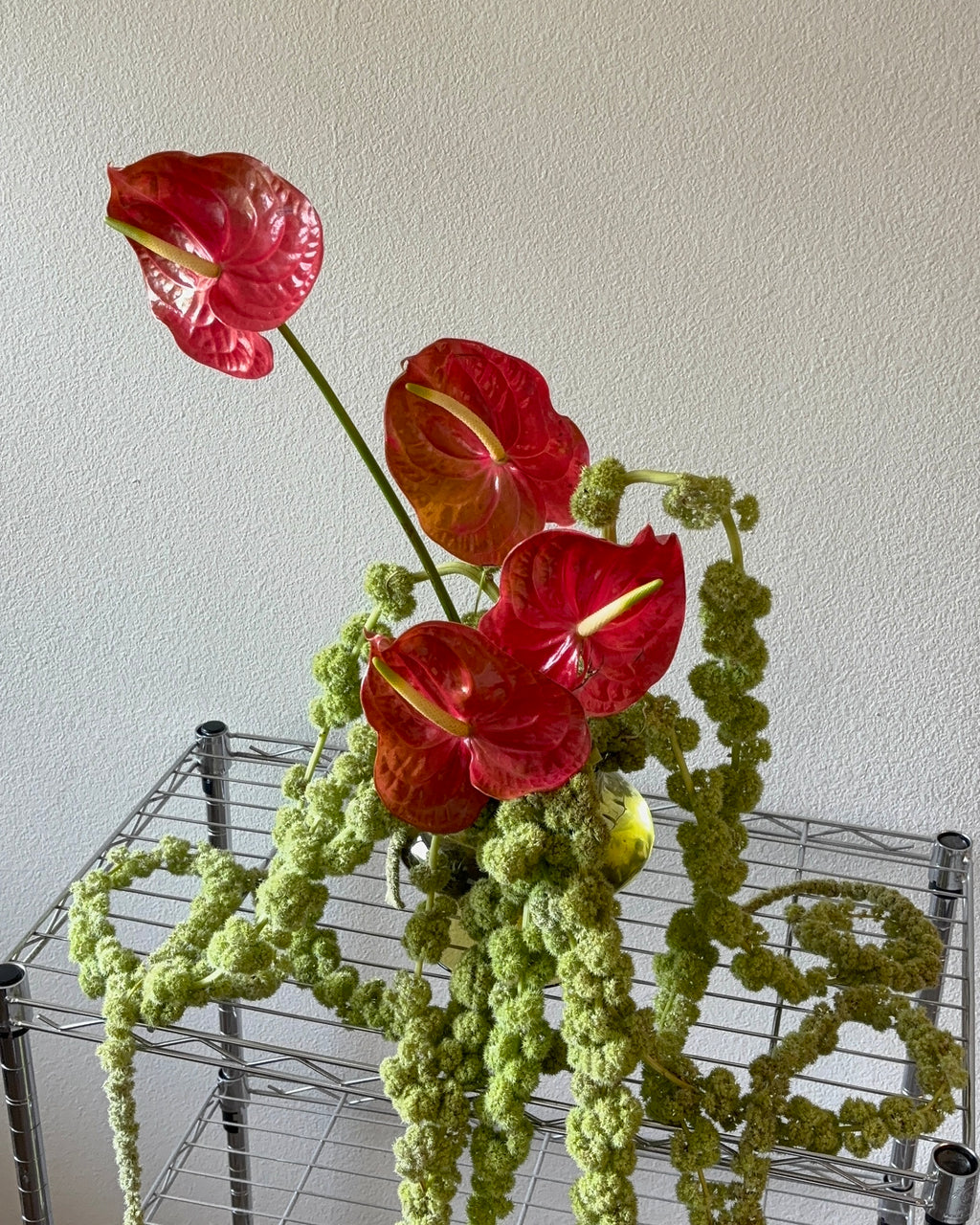 Sculptural Arrangement