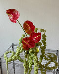 Sculptural Arrangement
